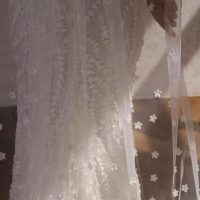 POSIE VEIL - Image 3